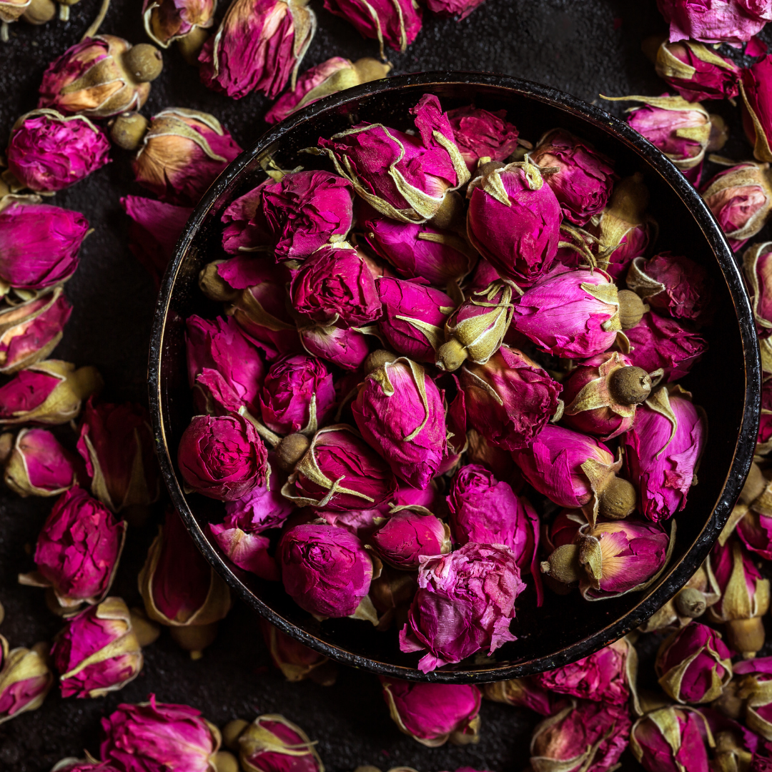 Red Rose Buds